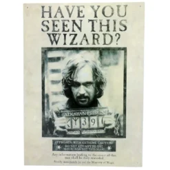 Harry Potter Blechschild "Have You Seen This Wizard?"