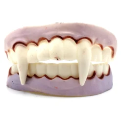 Halloween Vampir Gebiss