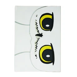 Disney 6 Harry Potter A5 Notizbuch Notebook "Hedwig"