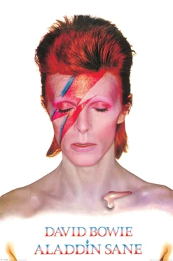 Poster David Bowie Aladdin Sane